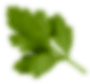 Decorative leaf