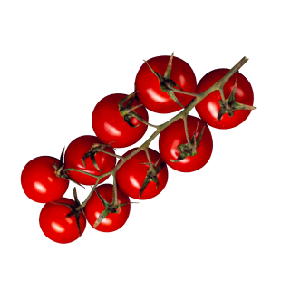 Decorative food item