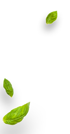 Decorative leaf